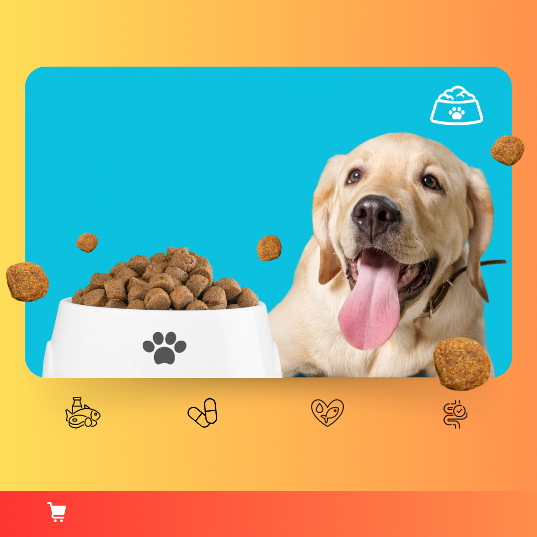 Pet Supplies